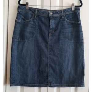 Banana Republic Jean Skirt